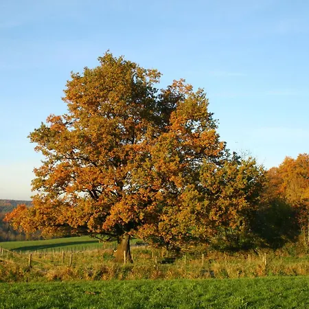 Semesterbostad Countryside Holiday In With Fenced Garden And Bbq